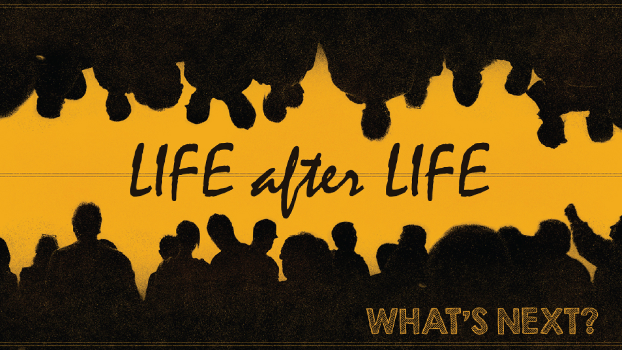 life-after-life-web-16x9
